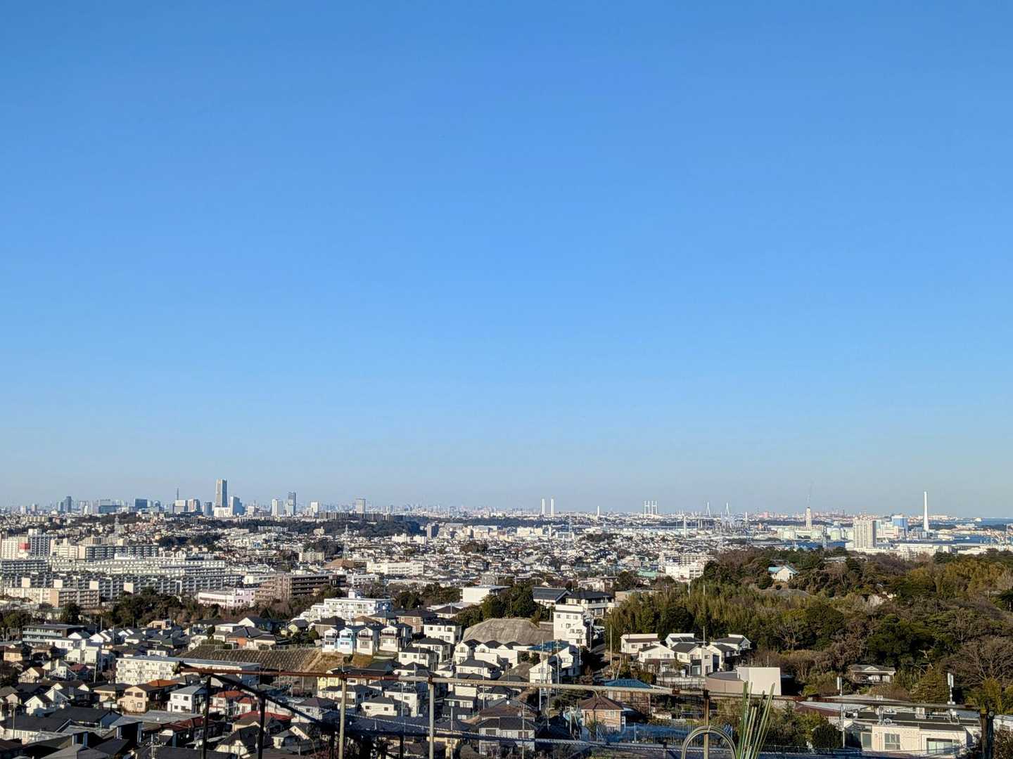 大丸山 往復コースの写真