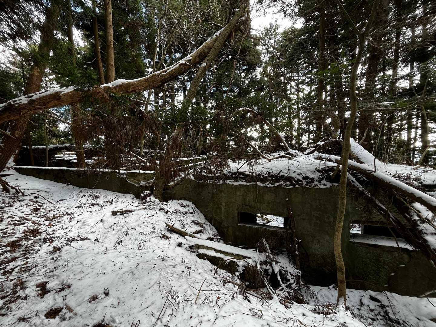 こういう遺構？大好きでめちゃくちゃテンション上がった！そしてここから軍艦島→海ダイの話に😂