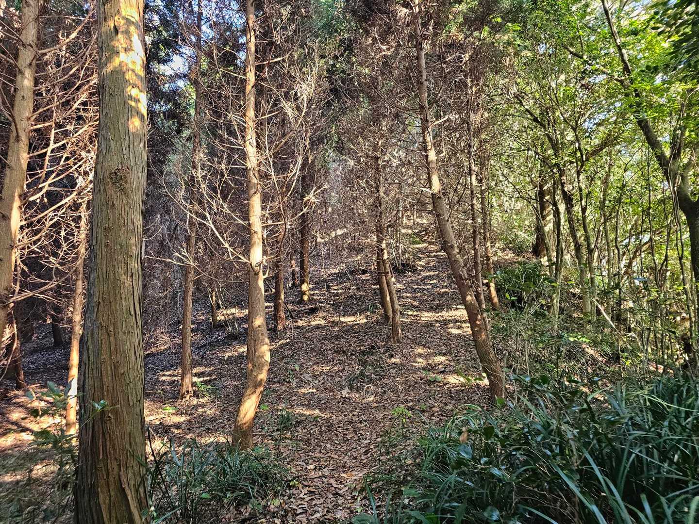 ぐぐっと↗️