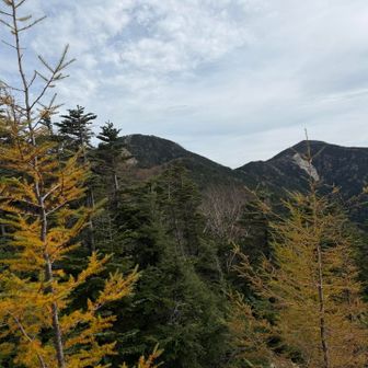 左が甲武信ヶ岳
右が三宝山
ここ以外でしっかり山様を撮れる場所あったっけ…