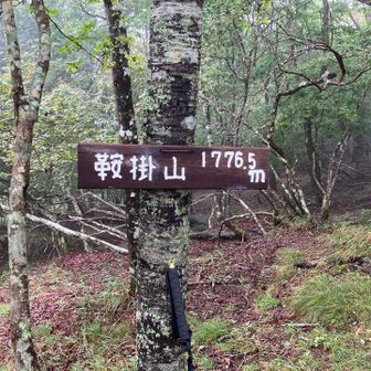 本日の最終目的地。ヤマップの表記は倉掛山。山頂標の裏側に”地主”と記されていました。