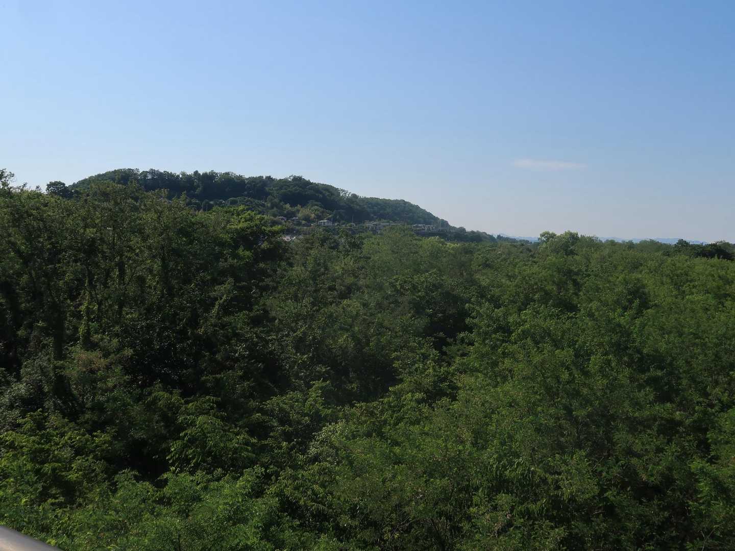 下山
最後の大澄山を振り返る