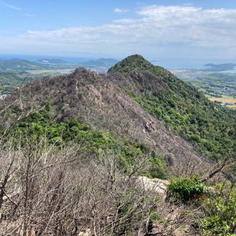 火の山が焼けた様子が見える