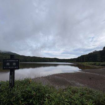雨池着