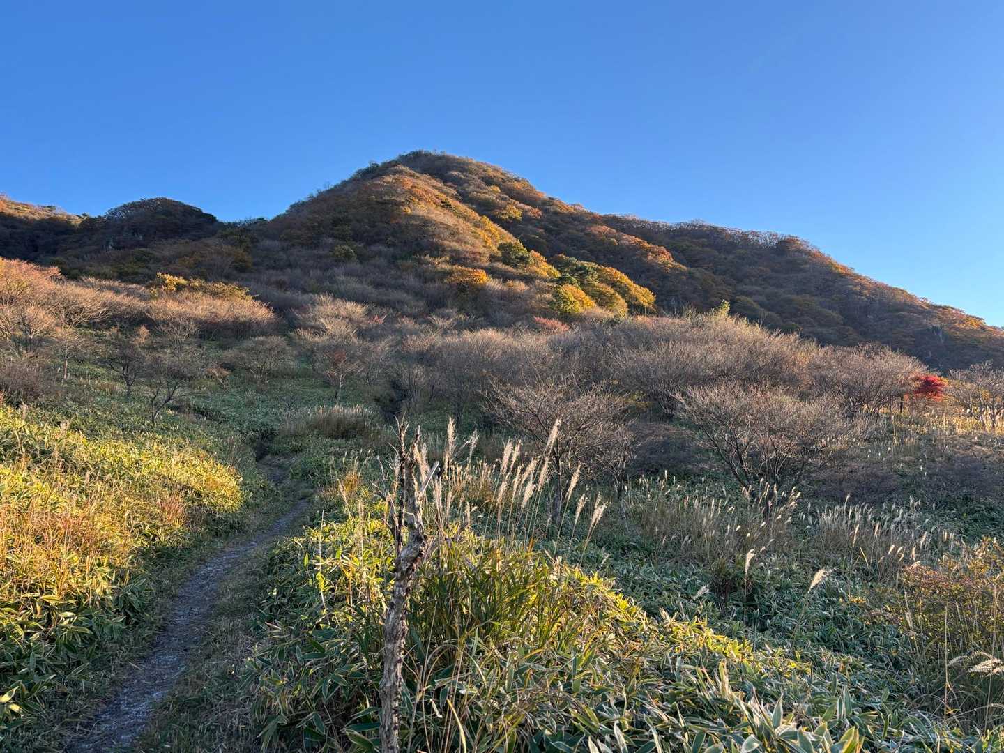 朝日を浴びる鍋割山。登る前からワクワクしますね。