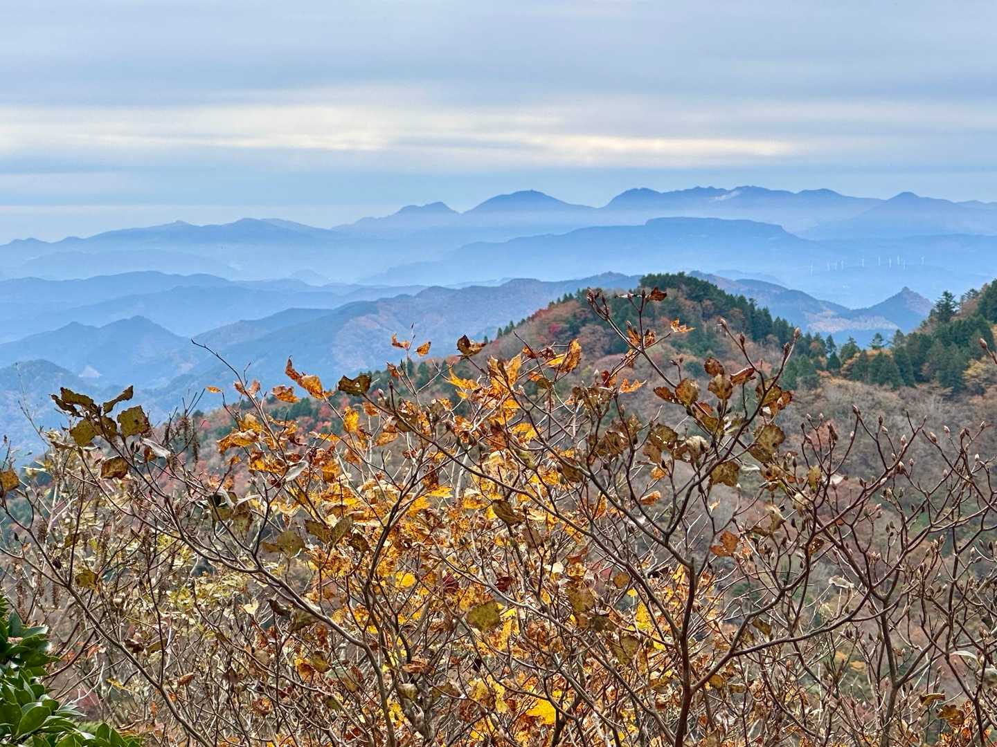 玉屋神社登山口-英彦山 周回コースの写真