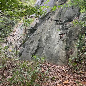 砲台山山頂したの大きな岩