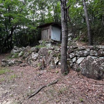 金比羅山山頂手前にある祠