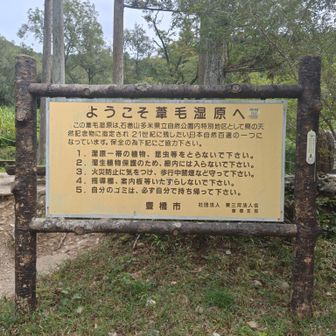 ようこそ葦毛湿原へ