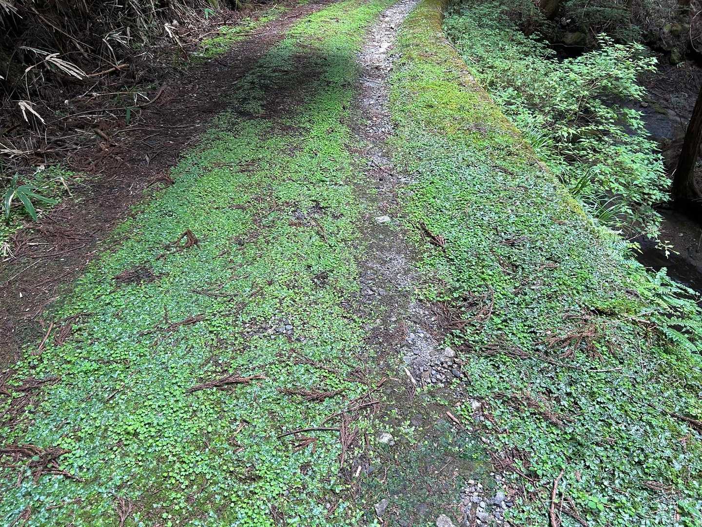 こんな道