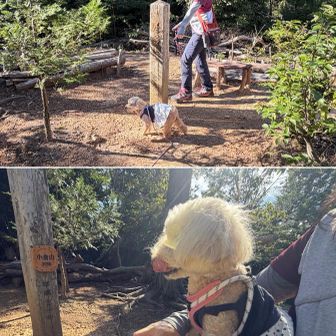再起動　北へ迂回して小倉山へ到達、小休憩