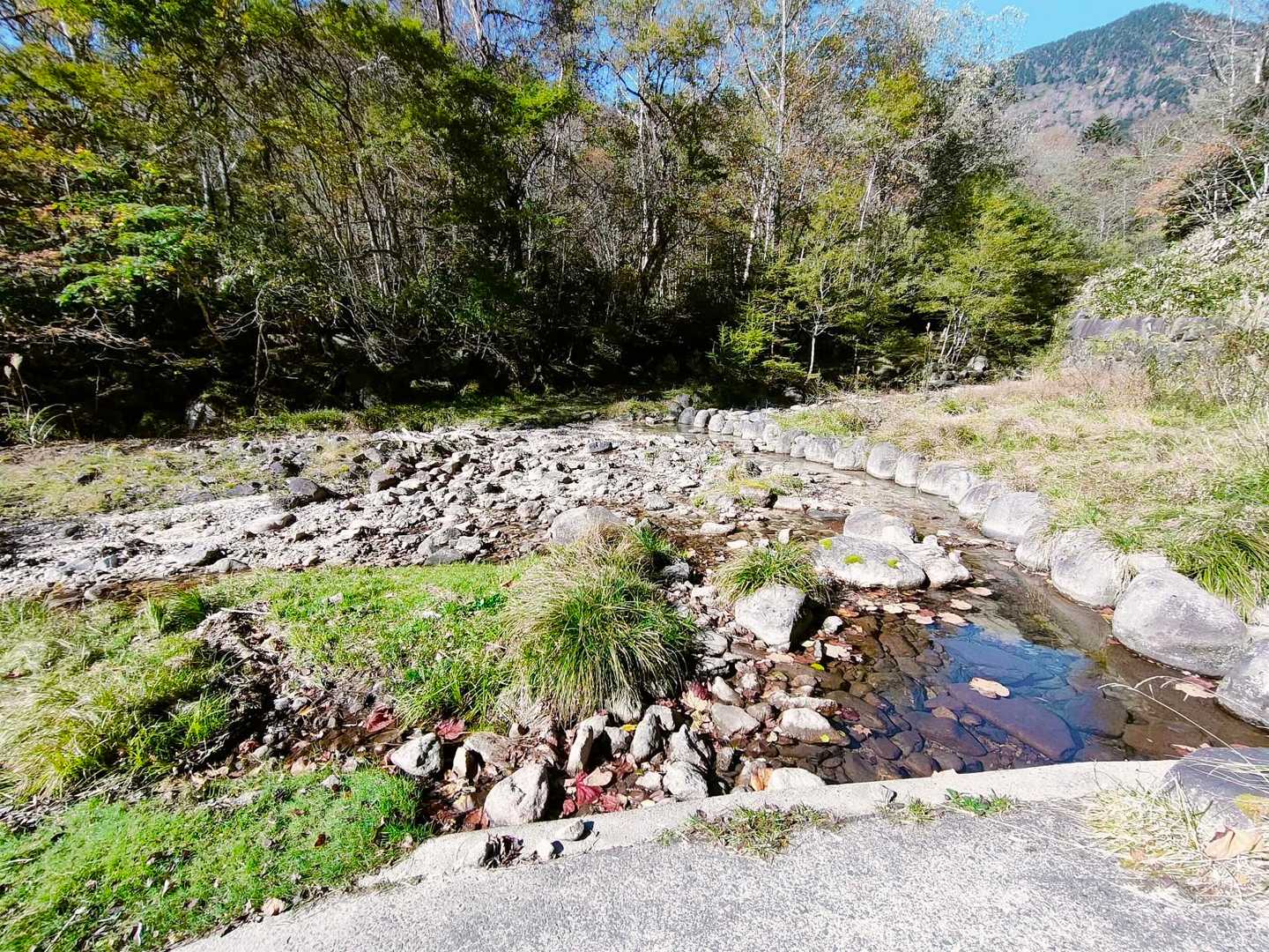 いかにも登山道っぽい林道無視して初っ端からここ渡るなんてわかりにくすぎる。
よーく見ればピンテはあるけども……