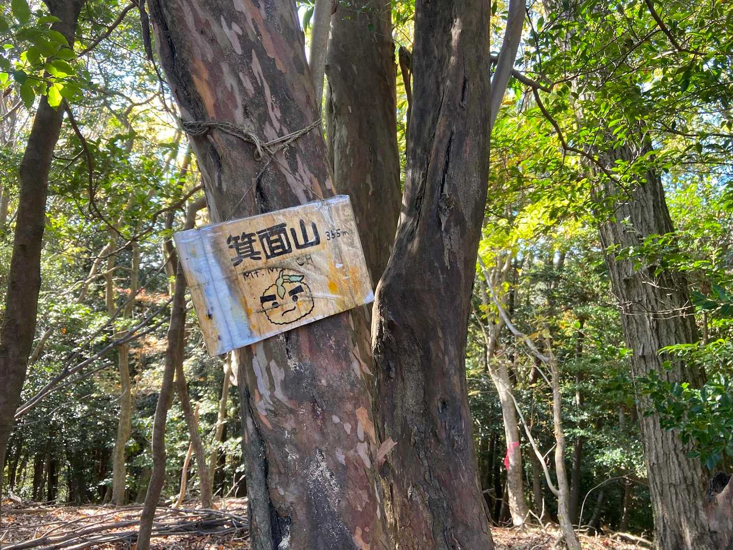 箕面山山頂