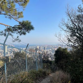 神戸を陰で支えてくれてる。電飾
