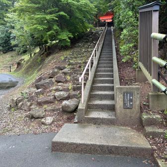 お寺に到着後、この石段を上がれば…