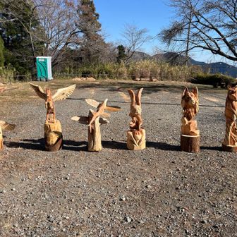 木彫り動物たち😆