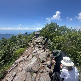 山頂の様子