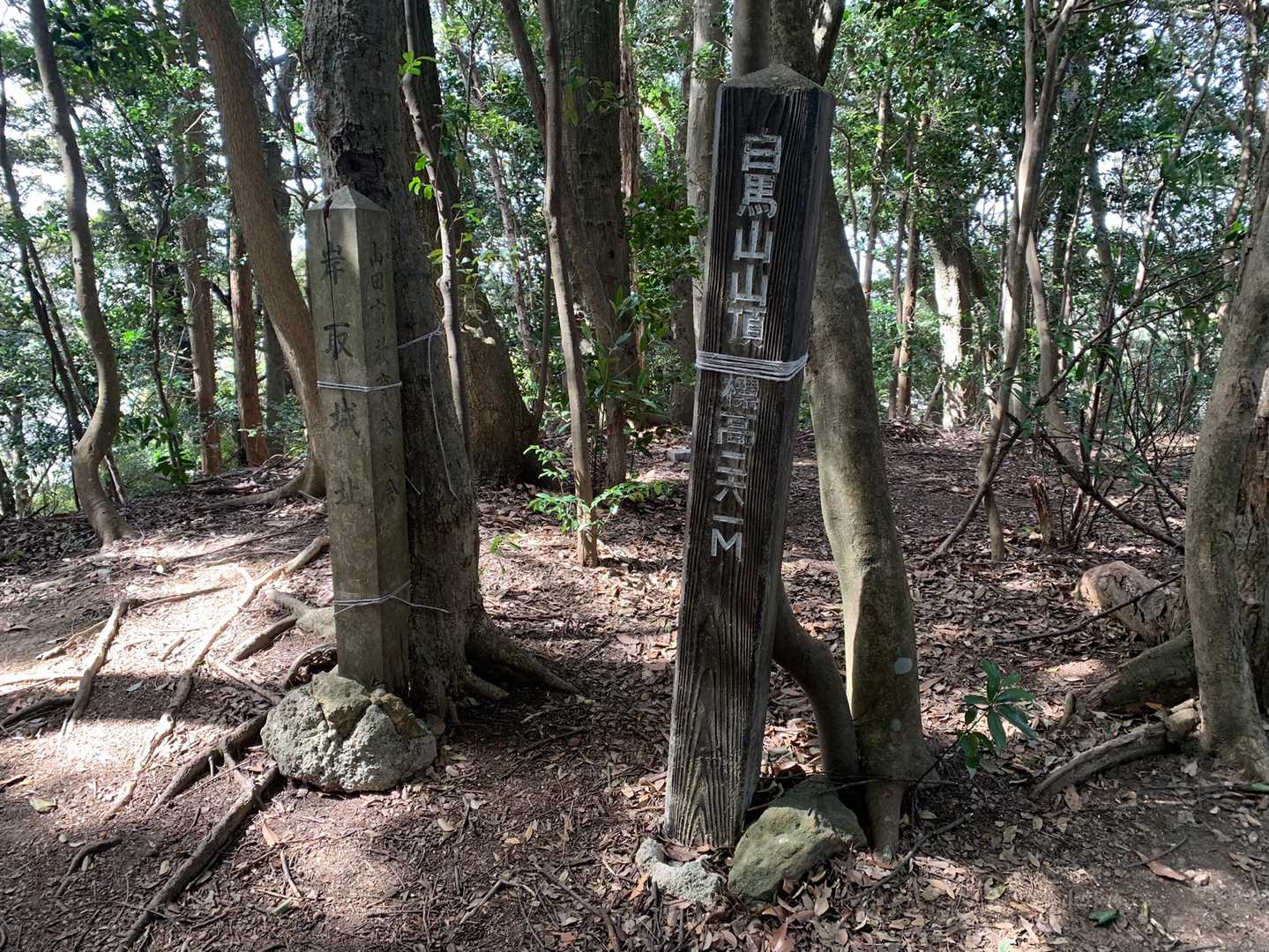 白馬山山頂
ここも眺望なしです