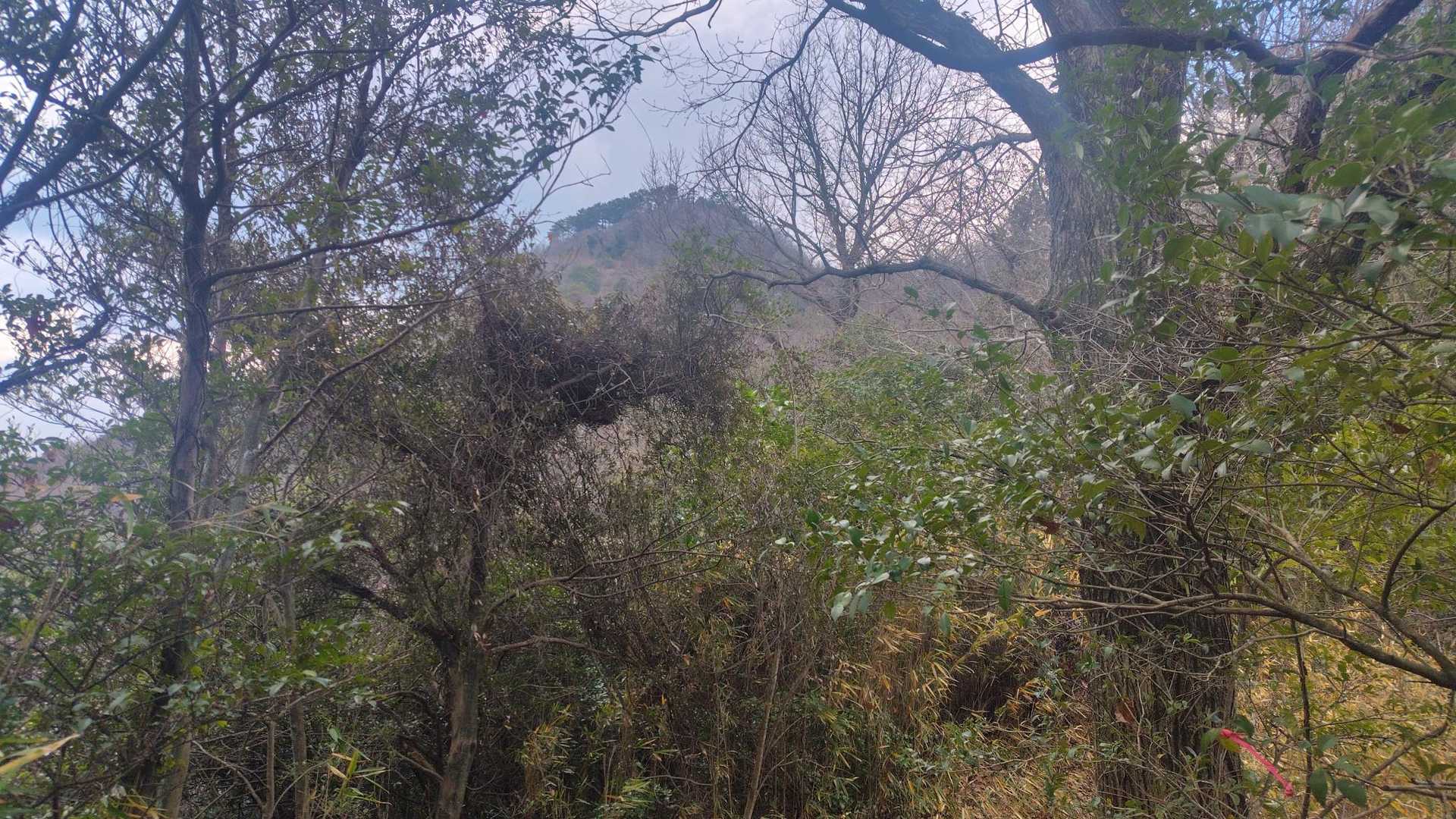 勝賀山🧐🧐