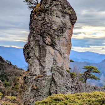 ババ！（諸説有り…😉）