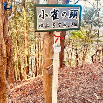 ピーク踏みに1時間