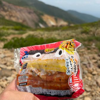 朝日の肩に降りてきてお昼ご飯