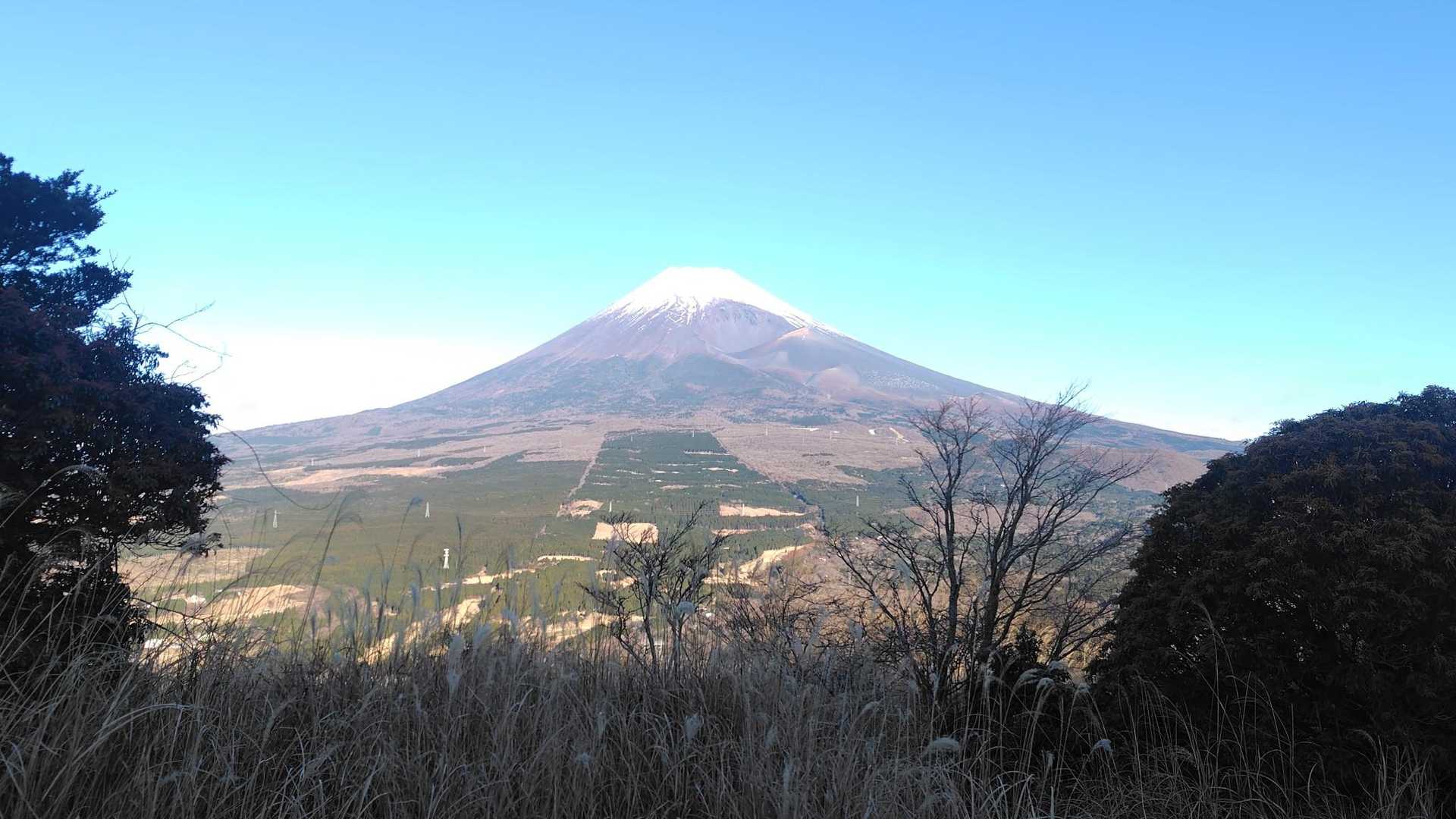 十里木-越前岳 往復コースの写真
