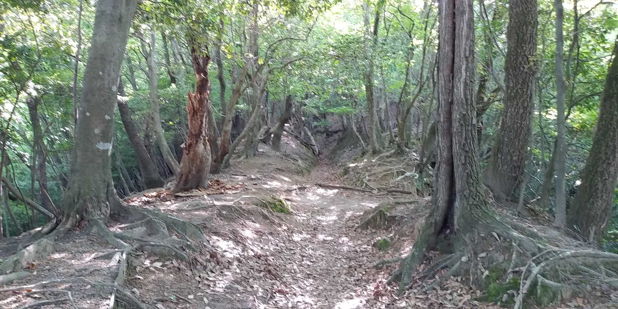 古道を行く