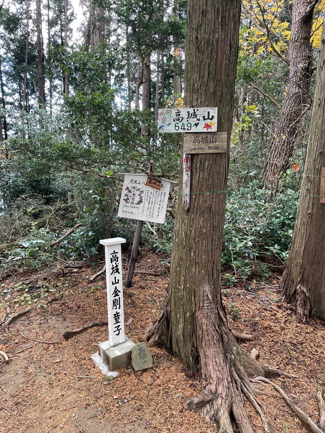 高城山てっぺんです