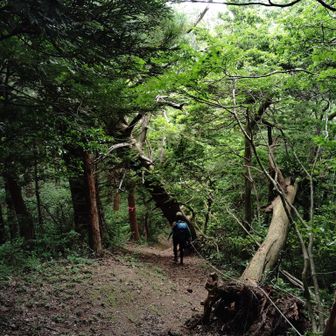 三条山から一旦グッと下りて、