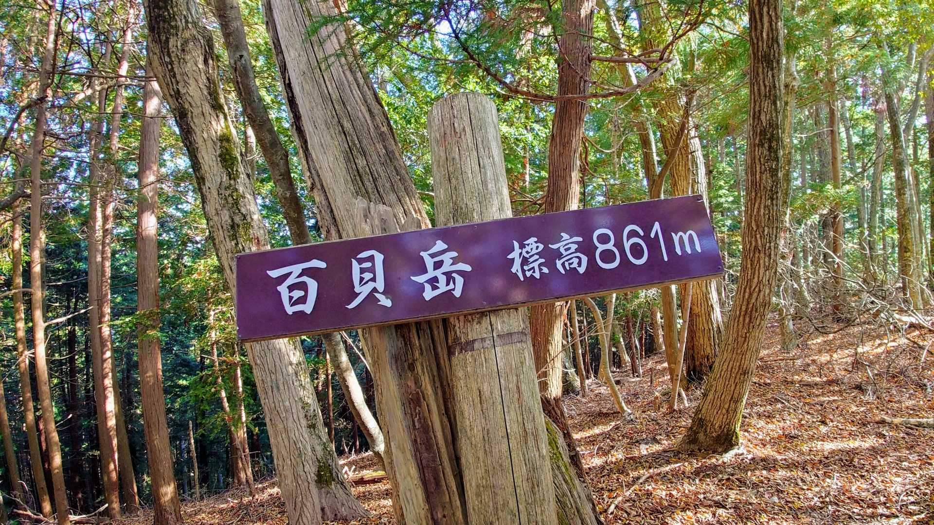 ✨100座目！百貝岳登頂！✨
いぇい✌️😆⤴️

ここでお昼ごはんにします🍙