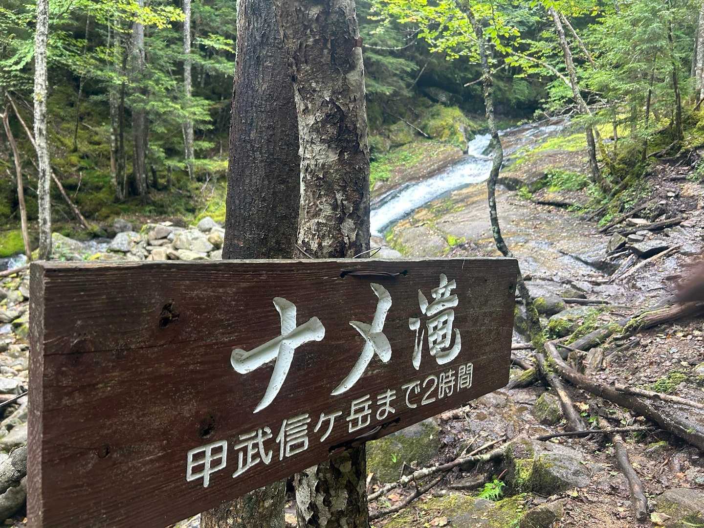 甲武信ヶ岳 周回コースの写真