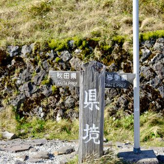 秋田か！