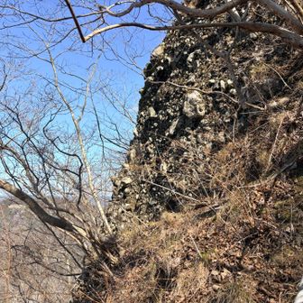 斜面に張り付いて撮った唯一の写真
根っこ、枝、笹…掴めるものは何でも掴んだ
確信が持ててから一歩一歩進んだ