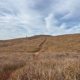 ここからは明瞭な道