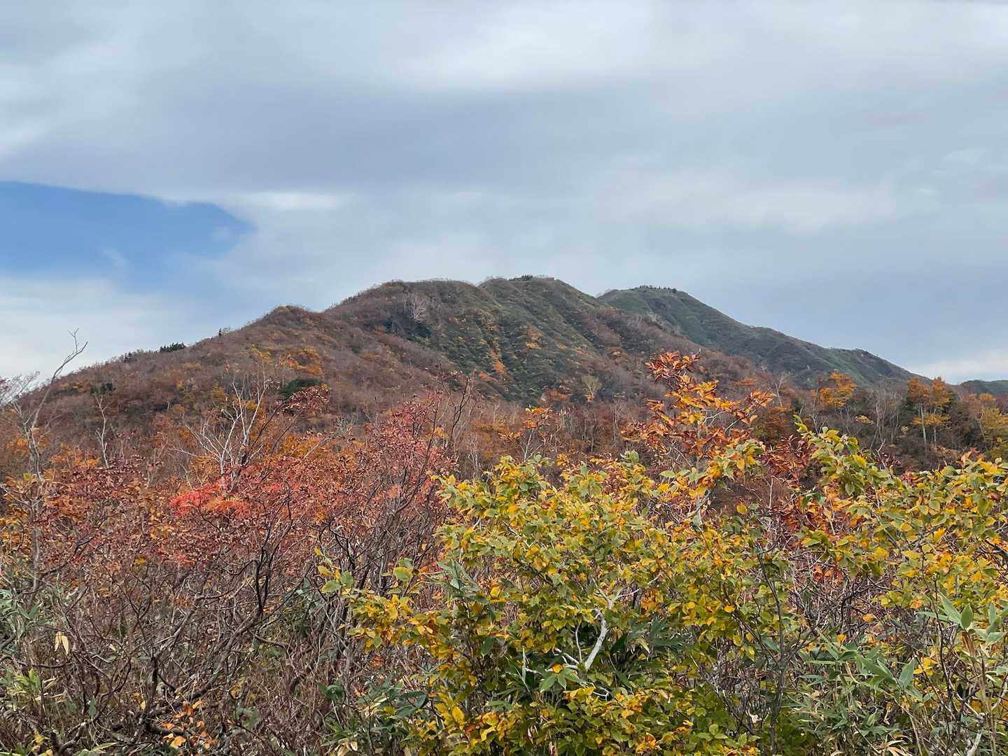 伊折山-成谷山 -僧ヶ岳-北駒ヶ岳-駒ヶ岳 往復コースの写真