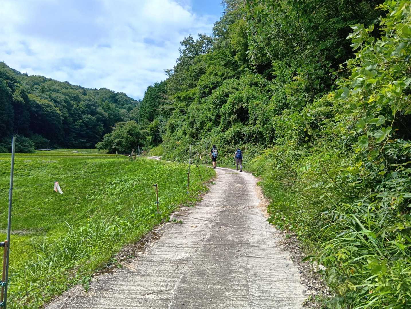 夏の陽射しにあえぎながら、ラスト女鹿山への分岐を目指します。