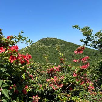 鈴ヶ岩屋から福智山を望む