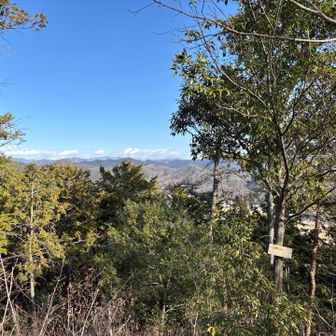 日光ファミリー見えた！