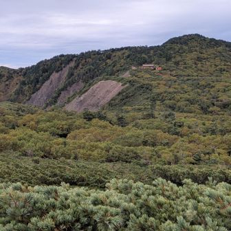 昨日はガスで見えなかった光岳も光岳小屋も、本日ははっきり見えます。