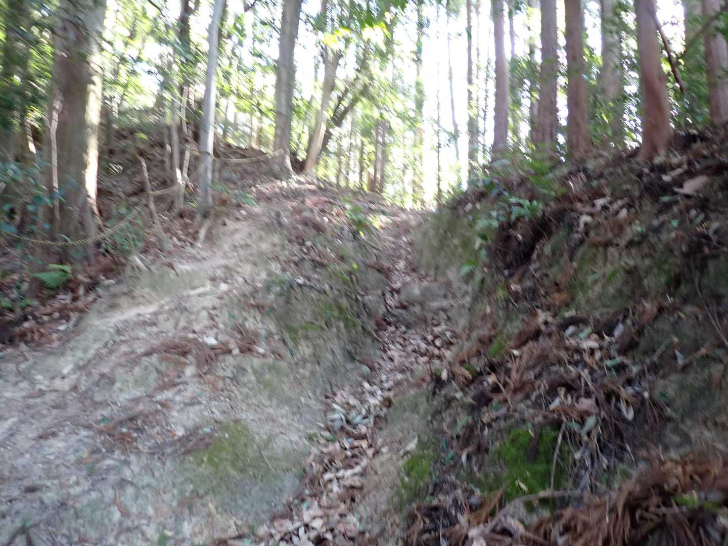 切通しのような道。