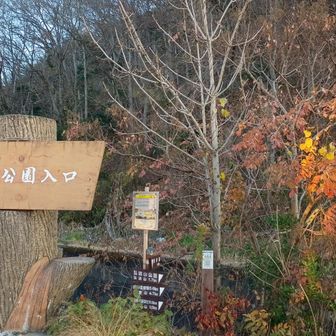 秦野駅側登山口