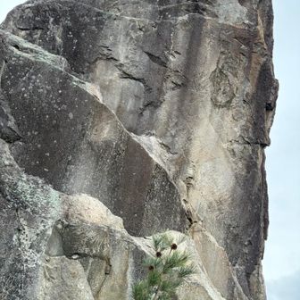 一番上まではさすがに登れません