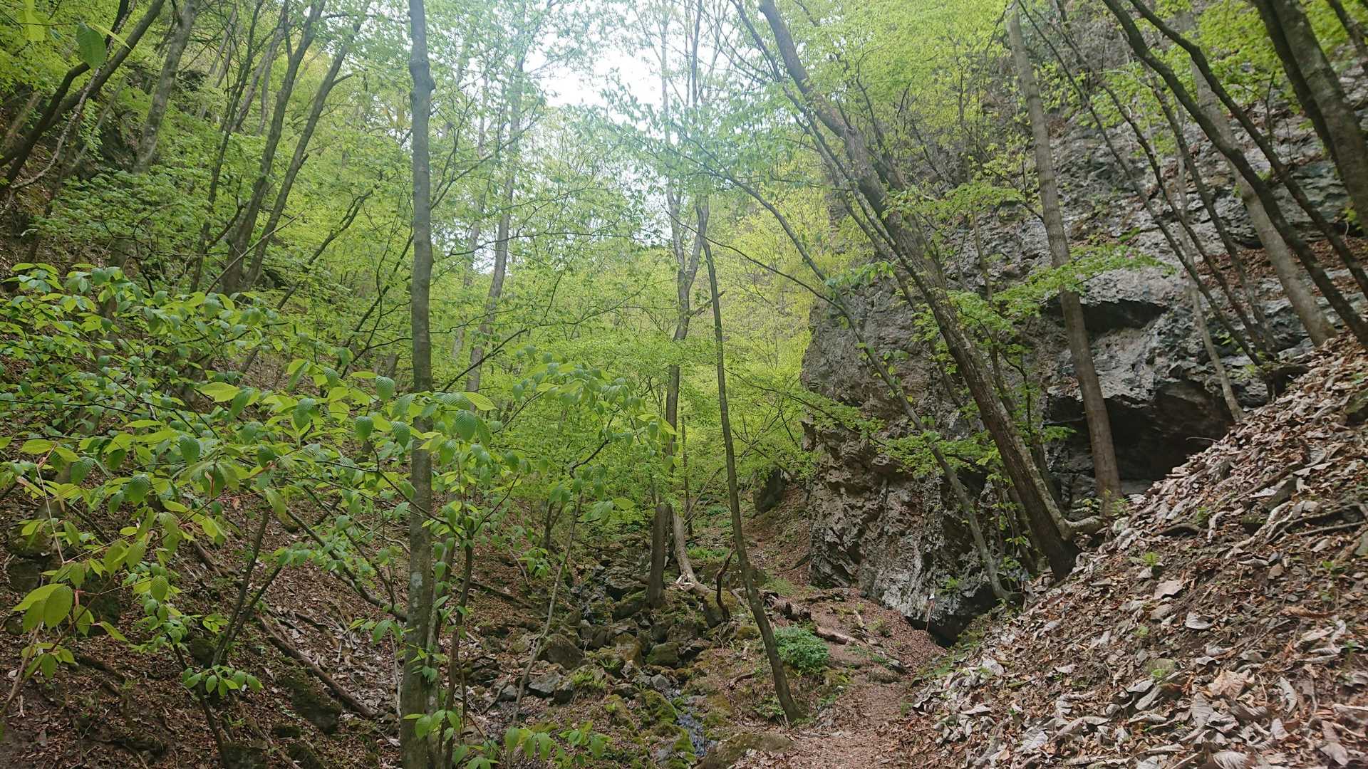 岩の間の沢沿いの登山道