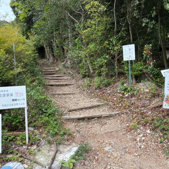 健脚コースで登ります