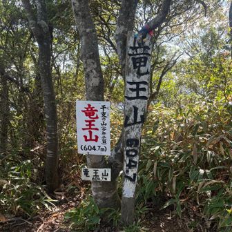 竜王山　ここで天狗岩で会った昔のお兄さんと再会　ここから昔のお兄さんと昔のお姉さんの張り合い歩き
