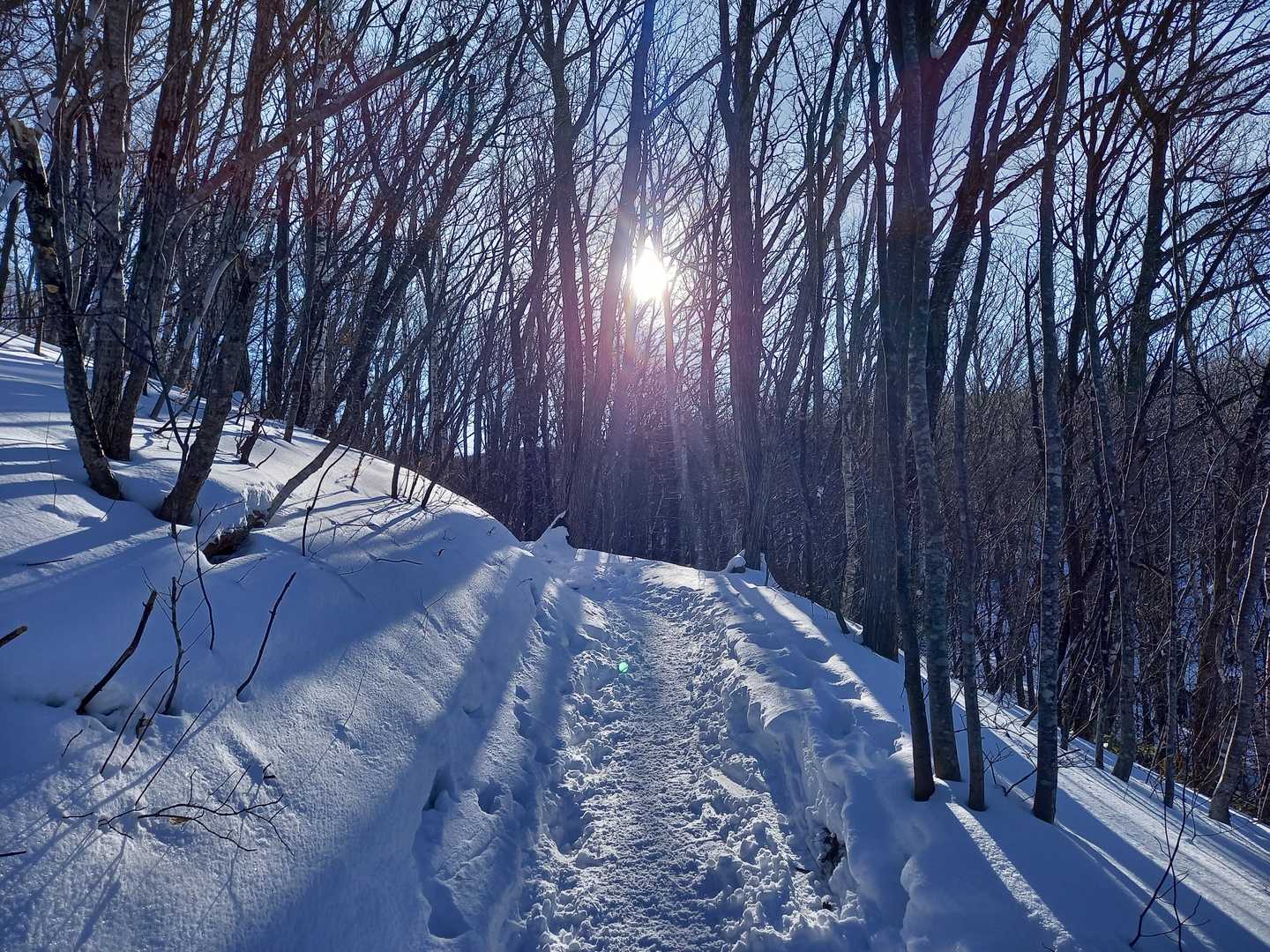 大開平〜階上岳コースの写真