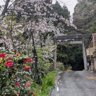東谷山の東側、十軒口から鳥居をくぐって、登り始めます。
おじゃまします🙏