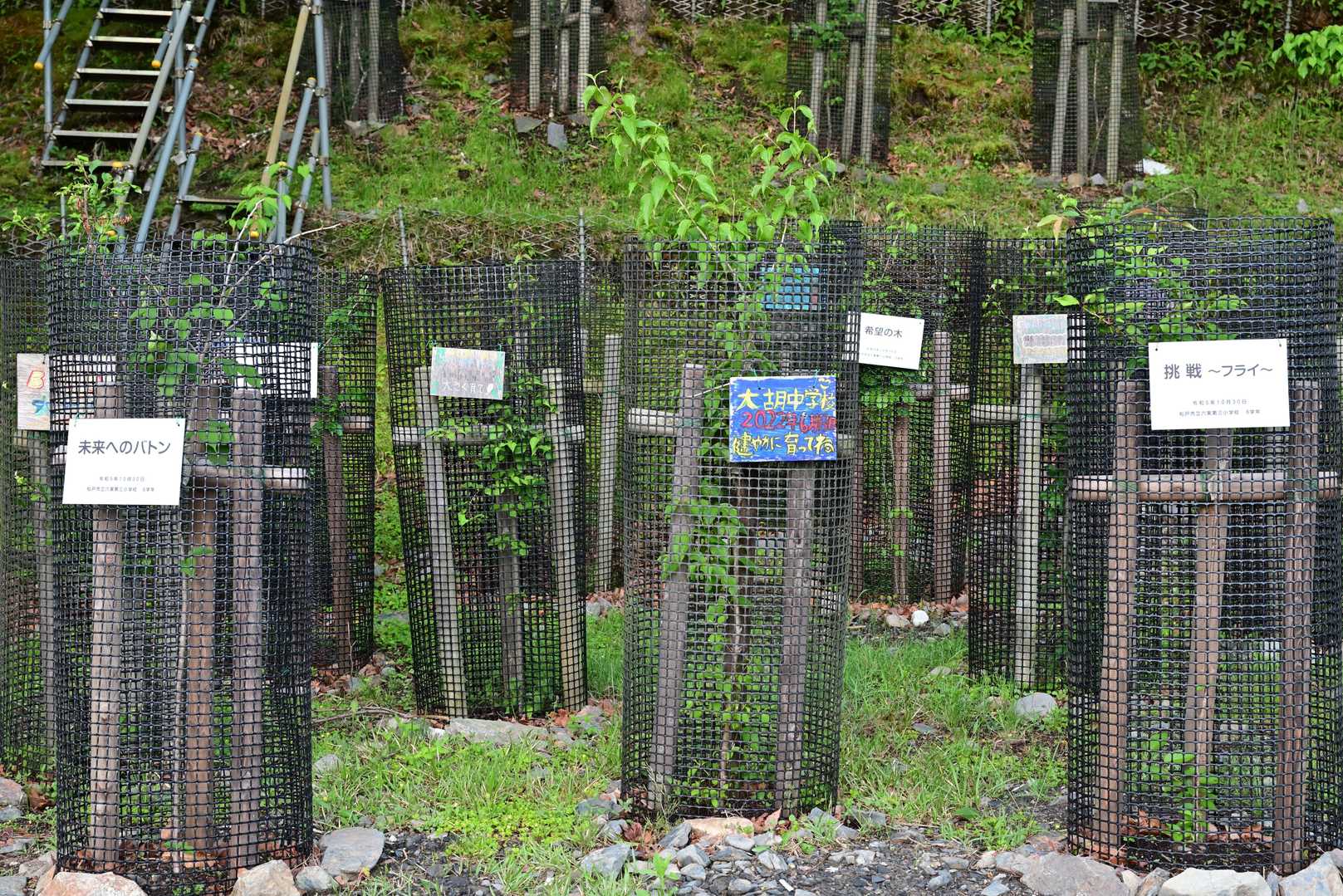 公園入口バス停-中倉山登山口-中倉山 往復コースの写真