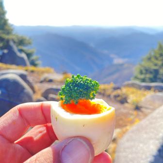ココ2ヶ月ほど昼はゆで卵とブロッコリー🥦︎
鶏ムネ肉だけど、なんも変わらん
